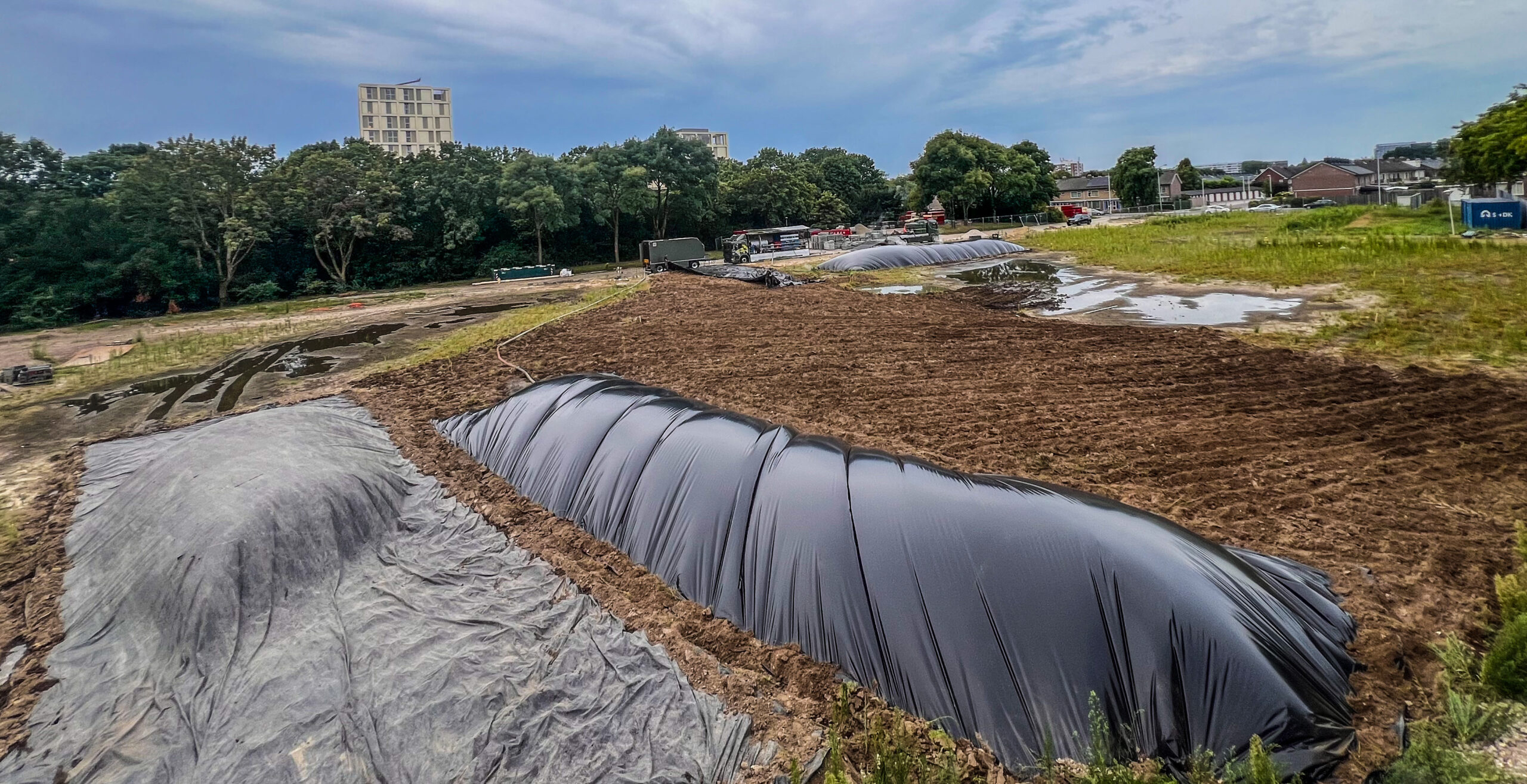Bestrijden Japanse Duizendknoop Grote Oppervlaktes
