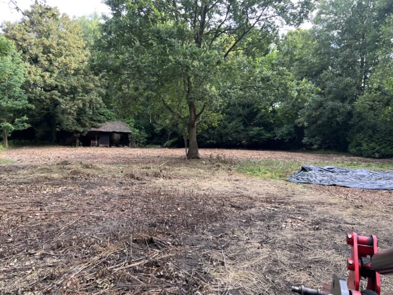 Japanse Duizendknoop Verwijderd