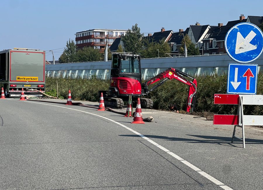 Japanse Duizendknoop Bestrijden Gemeente